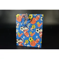 Változatos labdák papírtáska 26x32x13  cm kísérő kártyával
